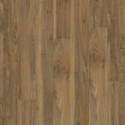 English Walnut 20565 XL